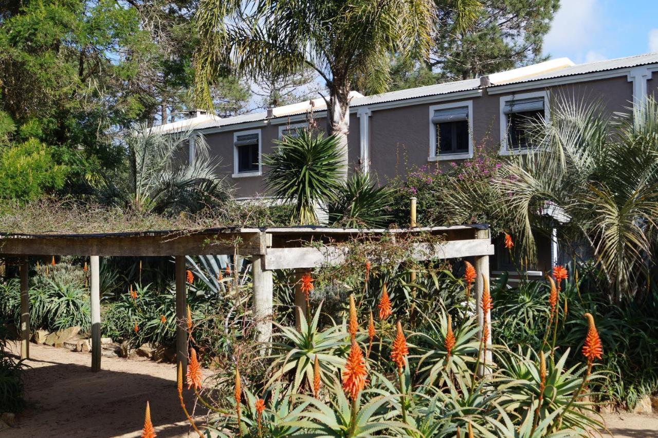 Posada Del Corumba La Paloma Bagian luar foto
